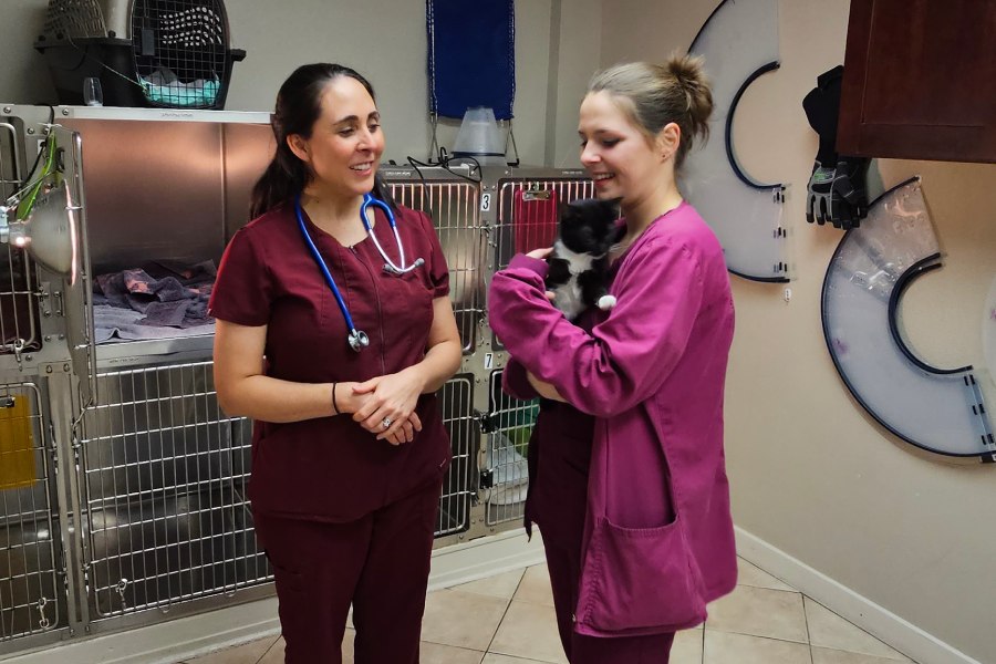 two vets in scrubs holding a cat