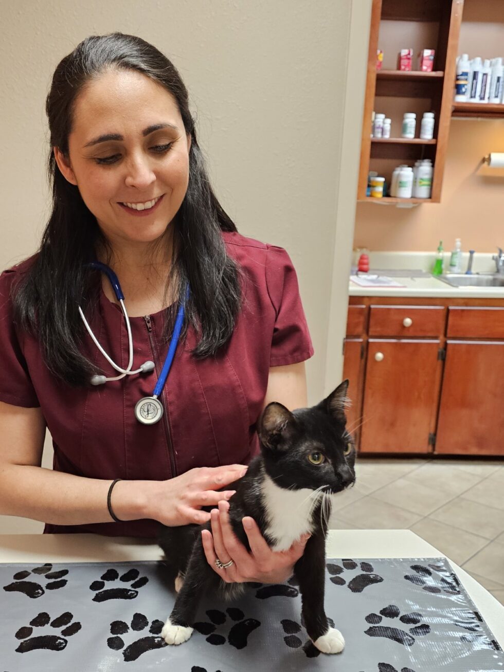 About Ferry Pass Animal Hospital Vet In Pensacola, FL 32514