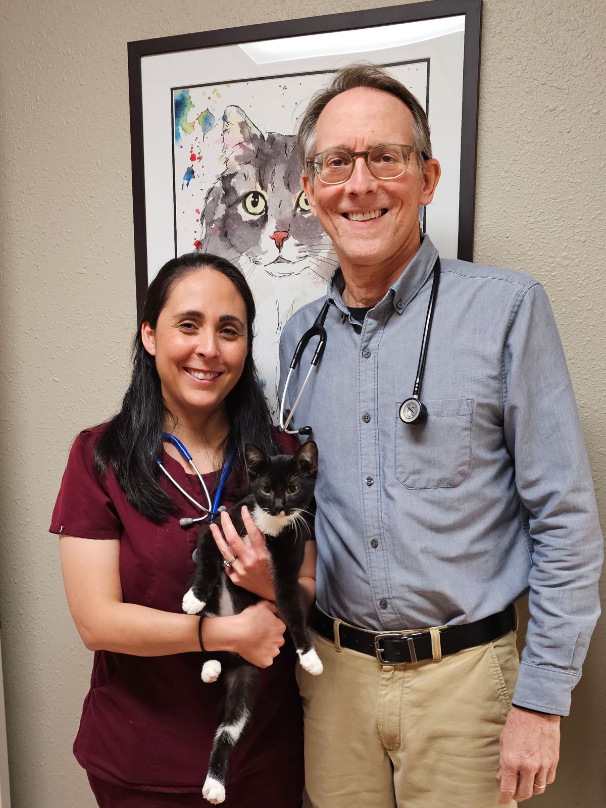 two vet holding a cat